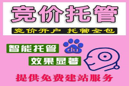 某企业利用竞价SEM提升网站流量及转化率的经验分享