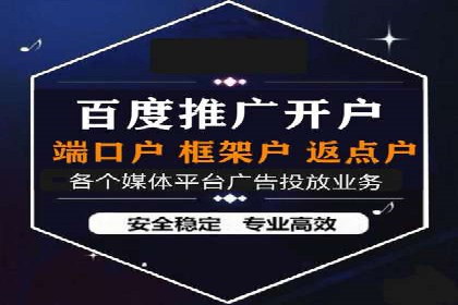 SEM公司案例研究：数据驱动营销策略